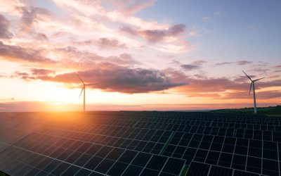 New White Paper Explores the Growing Green Skills Gap